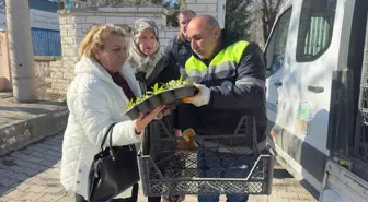 Turhal Belediyesi'nden Regaip Kandili Öncesi Mezarlıklarda Çiçek Dağıtımı