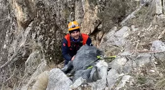 Burdur'da Mahsur Kalan Keçi AFAD Ekiplerince Kurtarıldı