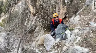 Burdur'da Mahsur Kalan Keçi AFAD Ekipleri Tarafından Kurtarıldı