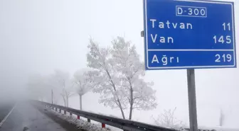 Bitlis'te Soğuk Hava ve Sis Etkili, Kırağı Oluştu