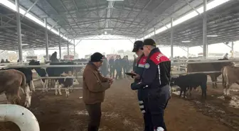 Aydın'da Hayvan Pazarında Dolandırıcılık ve Hırsızlık Denetimi