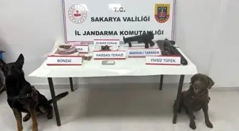 Sakarya'da Kaçakçılık Operasyonları: 11 Tutuklama