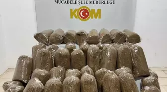 Samsun'da 250 Kilogram Kaçak Tütün Ele Ge Pass edildi