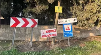 Hatay'da Kuduz Tehdidi: Bir Mahalle Karantinaya Alındı