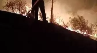 Hatay'da Orman Yangını Kontrol Altına Alındı