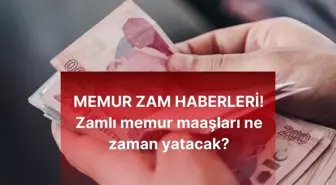 MEMUR ZAM HABERLERİ! Zamlı memur maaşları ne zaman yatacak? Ocak öğretmen, memur, öğretim görevlisi, polis, doktor maaş ödeme tarihleri!