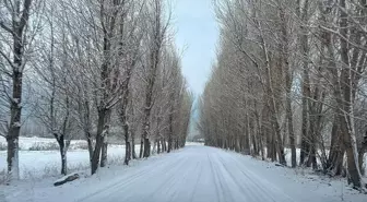 Van ve Bitlis'te Olumsuz Hava Koşulları: 535 Yerleşim Yeri Ulaşıma Kapandı