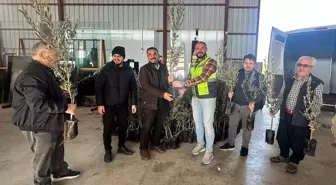 Alanya'da Üreticilere Zeytin ve Toros Fıstığı Fidanı Dağıtıldı