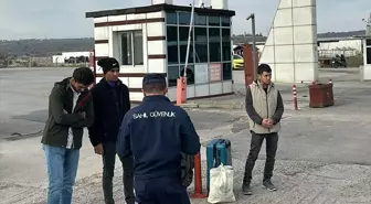 Düzensiz Göçmenler Ayvalık'ta Yakalandı