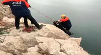 Kayalıklarda Mahsur Kalan 20 Keçi Kurtarıldı