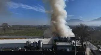 Düzce'de Yumurta Üretim Tesisinde Yangın