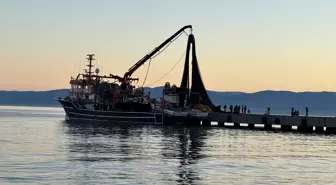 Sinop Limanı: Balıkçıların Güvenli Mola Noktası