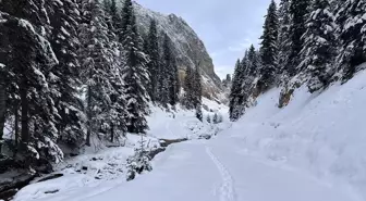 Kış Rüzgarları Ilgaz Dağı'nda Esti: Doğa ve Fotoğraf Tutkunlarının Gözdesi