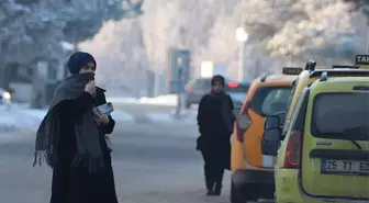 Bitlis'te Soğuk Hava ve Sis Etkili: Kırağı Oluştu