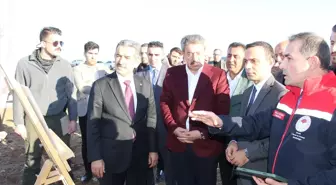 Şırnak'ta Sera Organize Tarım Bölgesi Projesi Onaylandı