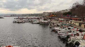 Karadeniz’de Balık Bereketi: Hamsi ve Çinekop Avı Başladı