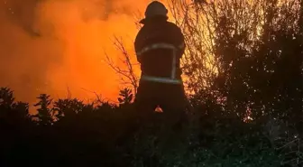 Hatay'ın Arsuz İlçesinde Kamışlık Alanda Yangın