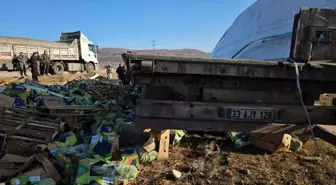 Bitlis'te Tır Şarampole Devrildi: 1 Yaralı