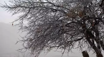 Kapadokya'da Olumsuz Hava Şartları Sıcak Hava Balon Turlarını İptal Etti