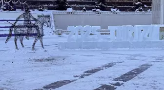 Erzurum ve Ardahan'da Dondurucu Soğuklar, Kars'ta Kar Yağışı