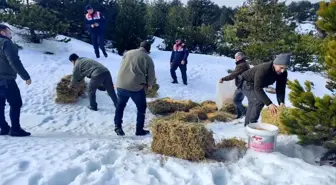 Balıkesir'de Yaban Hayvanlarına Kış Öncesi Yemleme Yapıldı