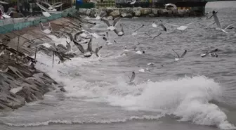 Tekirdağ'da Poyraz Deniz Ulaşımını Olumsuz Etkiliyor