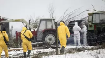 Almanya'da 35 yıl sonra şap vakası görüldü