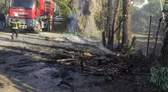 Hatay'ın Arsuz İlçesinde Otluk Alanda Yangın