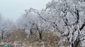 Malatya'nın Doğanşehir İlçesinde Kırağı Manzarası