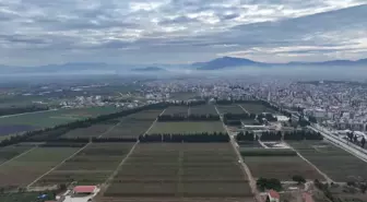 Torbalı Orman Fidanlık Müdürlüğü: Türkiye'nin Yeşil Geleceğine Katkı