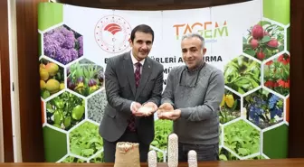 Erzincan'da Yeni Kuru Fasulye Genotipleri Tescil İçin Başvuruldu