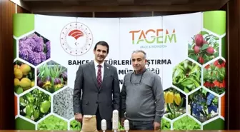 Erzincan'da İki Yeni Kuru Fasulye Çeşidi Tescil İçin Başvuruldu