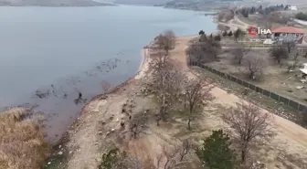 İstanbul'dan Kaçıp Köyde Huzur Buldu