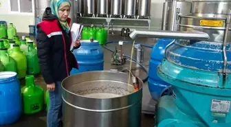 Aydın'da Zeytinyağı Fabrikalarına Denetim