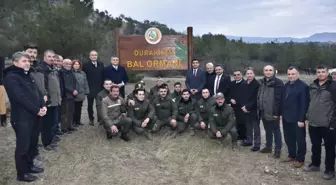 Sinop'ta 827'nci Bal Ormanı Kuruldu