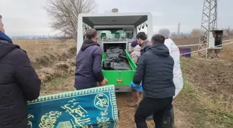 Amasya’da Elektrik Trafosu Yanında Yanık Vücut Bulundu