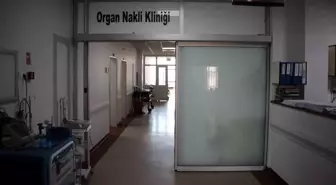 Aydın'da Usulsüz Organ Nakli Davasında Doktor Ceza Aldı