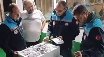 Bodrum'da Balıkçılık Denetimleri Sıkılaştı