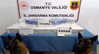 Osmaniye'de Jandarmadan Operasyon: 107 Gözaltı