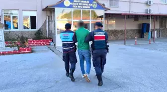 Aydın'da Aranan 38 Şahıs Jandarma Tarafından Yakalandı