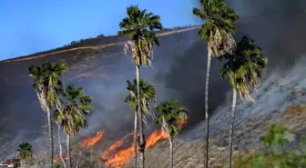 California'da Yeni Yangın Kontrol Altına Alındı, Kundaklama Şüphesiyle Gözaltılar Var