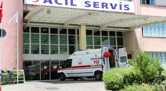 Nazilli'de İncir Ağacına Asılı Ölüm: 52 Yaşındaki Adam Bulundu