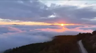 Sındırgı'daki Ulus Dağı'nda sis etkili oldu