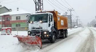 Van'da Kar Yağışı Ulaşımı Olumsuz Etkiledi