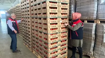 Afyonkarahisar'dan 23 Ülkeye 8 Bin 700 Ton Domates İhracatı