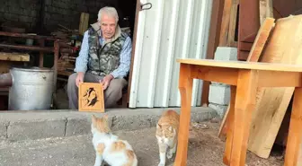 Kahramanmaraş'ta Esnafın Kedilere Gösterdiği Şefkat