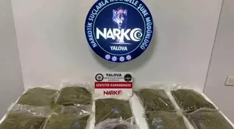 Yalova'da Uyuşturucu Operasyonu: 9 Kilo Sentetik Kannabinoid Ele Geçirildi