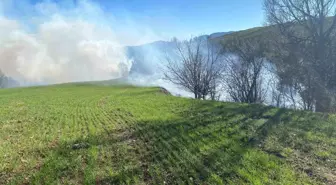 Adana'nın Aladağ İlçesinde Orman Yangını