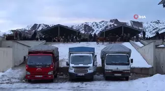 Erzurum Oltu Canlı Hayvan Pazarı Yeniden Açıldı