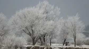 Ağrı'da Soğuk Hava Hayatı Olumsuz Etkiliyor